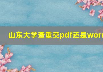 山东大学查重交pdf还是word