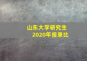 山东大学研究生2020年报录比