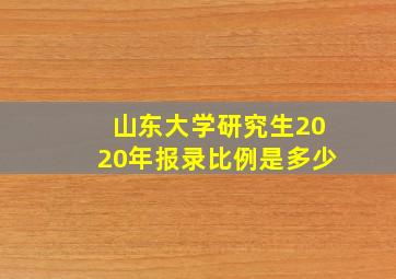 山东大学研究生2020年报录比例是多少