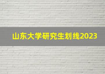 山东大学研究生划线2023