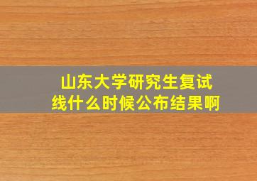 山东大学研究生复试线什么时候公布结果啊