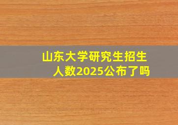 山东大学研究生招生人数2025公布了吗