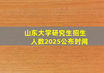 山东大学研究生招生人数2025公布时间