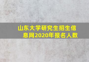 山东大学研究生招生信息网2020年报名人数