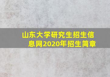 山东大学研究生招生信息网2020年招生简章