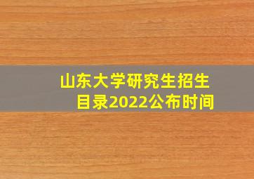 山东大学研究生招生目录2022公布时间