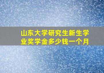 山东大学研究生新生学业奖学金多少钱一个月