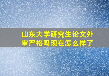 山东大学研究生论文外审严格吗现在怎么样了