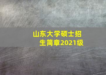 山东大学硕士招生简章2021级