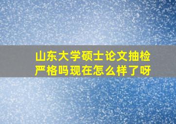 山东大学硕士论文抽检严格吗现在怎么样了呀