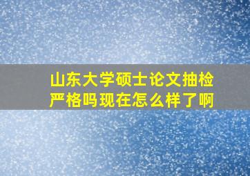 山东大学硕士论文抽检严格吗现在怎么样了啊