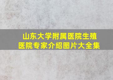 山东大学附属医院生殖医院专家介绍图片大全集