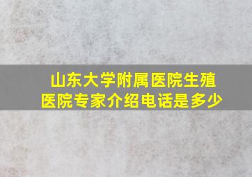 山东大学附属医院生殖医院专家介绍电话是多少