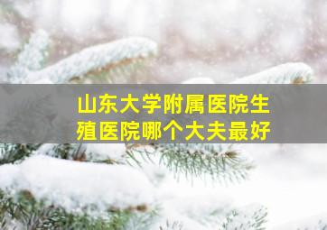 山东大学附属医院生殖医院哪个大夫最好