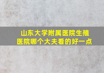 山东大学附属医院生殖医院哪个大夫看的好一点