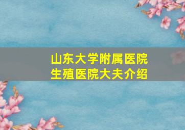 山东大学附属医院生殖医院大夫介绍