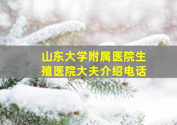 山东大学附属医院生殖医院大夫介绍电话