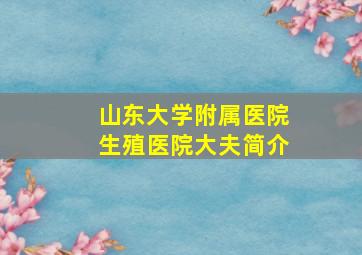 山东大学附属医院生殖医院大夫简介