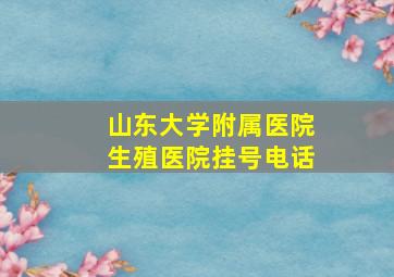 山东大学附属医院生殖医院挂号电话