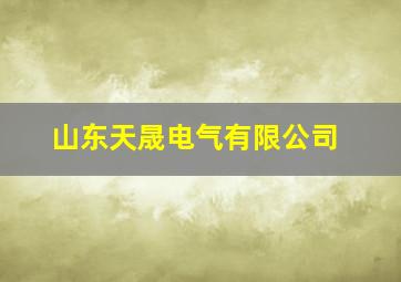 山东天晟电气有限公司