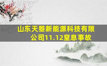 山东天曌新能源科技有限公司11.12窒息事故