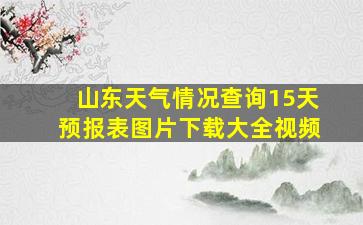 山东天气情况查询15天预报表图片下载大全视频