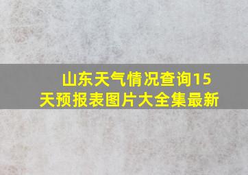 山东天气情况查询15天预报表图片大全集最新