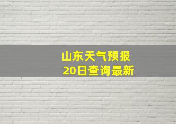 山东天气预报20日查询最新