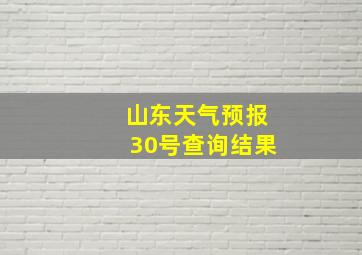 山东天气预报30号查询结果