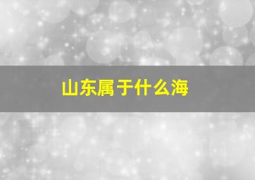 山东属于什么海