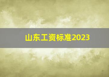 山东工资标准2023