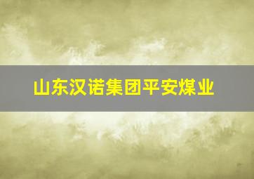 山东汉诺集团平安煤业