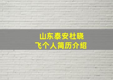 山东泰安杜晓飞个人简历介绍