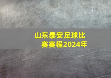 山东泰安足球比赛赛程2024年