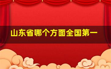 山东省哪个方面全国第一