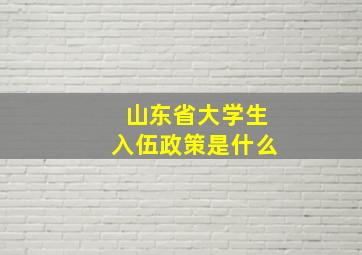 山东省大学生入伍政策是什么