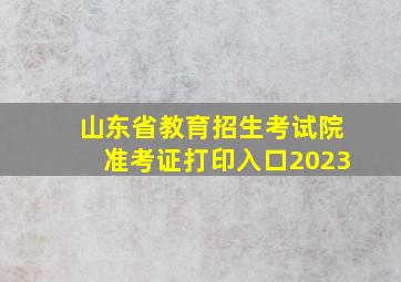 山东省教育招生考试院准考证打印入口2023