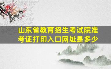 山东省教育招生考试院准考证打印入口网址是多少