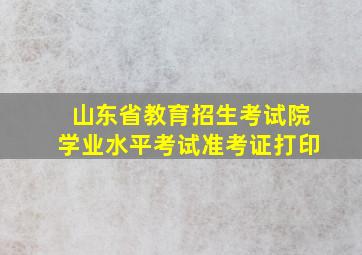 山东省教育招生考试院学业水平考试准考证打印