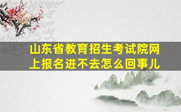 山东省教育招生考试院网上报名进不去怎么回事儿