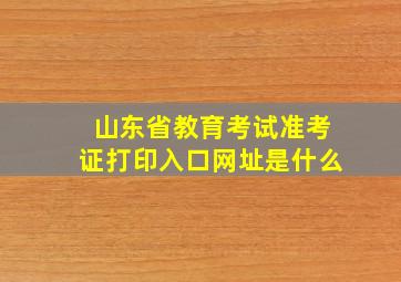 山东省教育考试准考证打印入口网址是什么