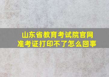 山东省教育考试院官网准考证打印不了怎么回事