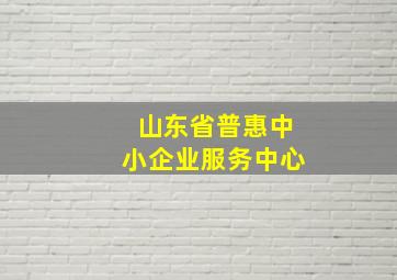 山东省普惠中小企业服务中心