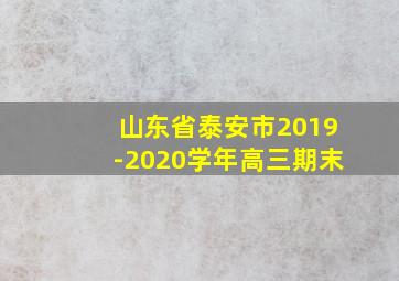 山东省泰安市2019-2020学年高三期末