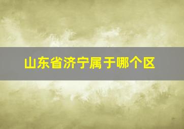 山东省济宁属于哪个区