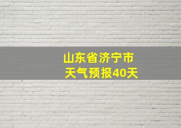 山东省济宁市天气预报40天