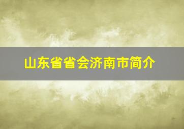 山东省省会济南市简介