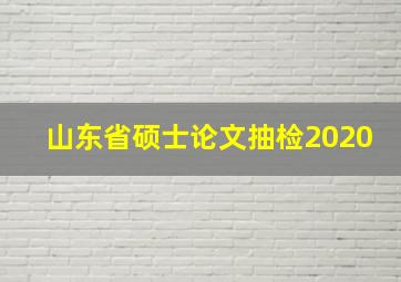 山东省硕士论文抽检2020