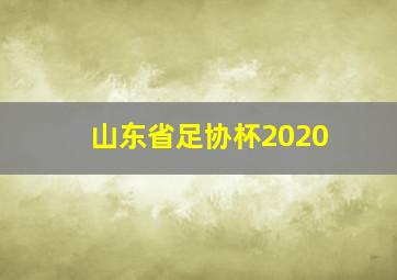 山东省足协杯2020