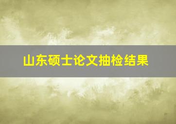 山东硕士论文抽检结果